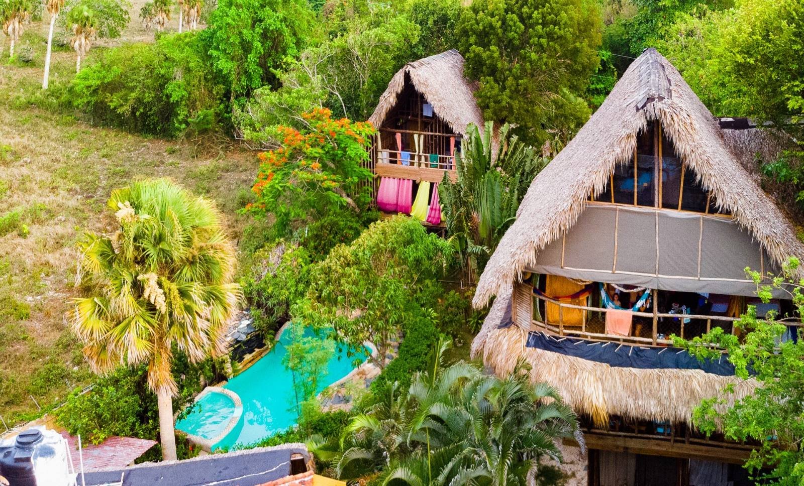 Tropical Gardens & Palms