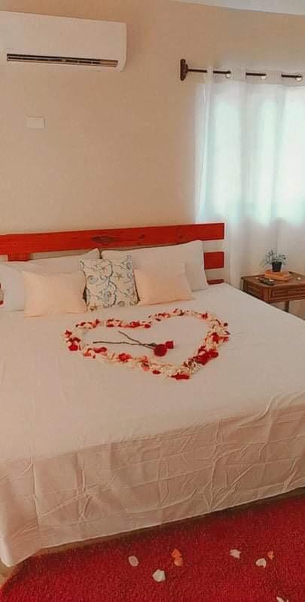 A/C Deluxe Room king bed