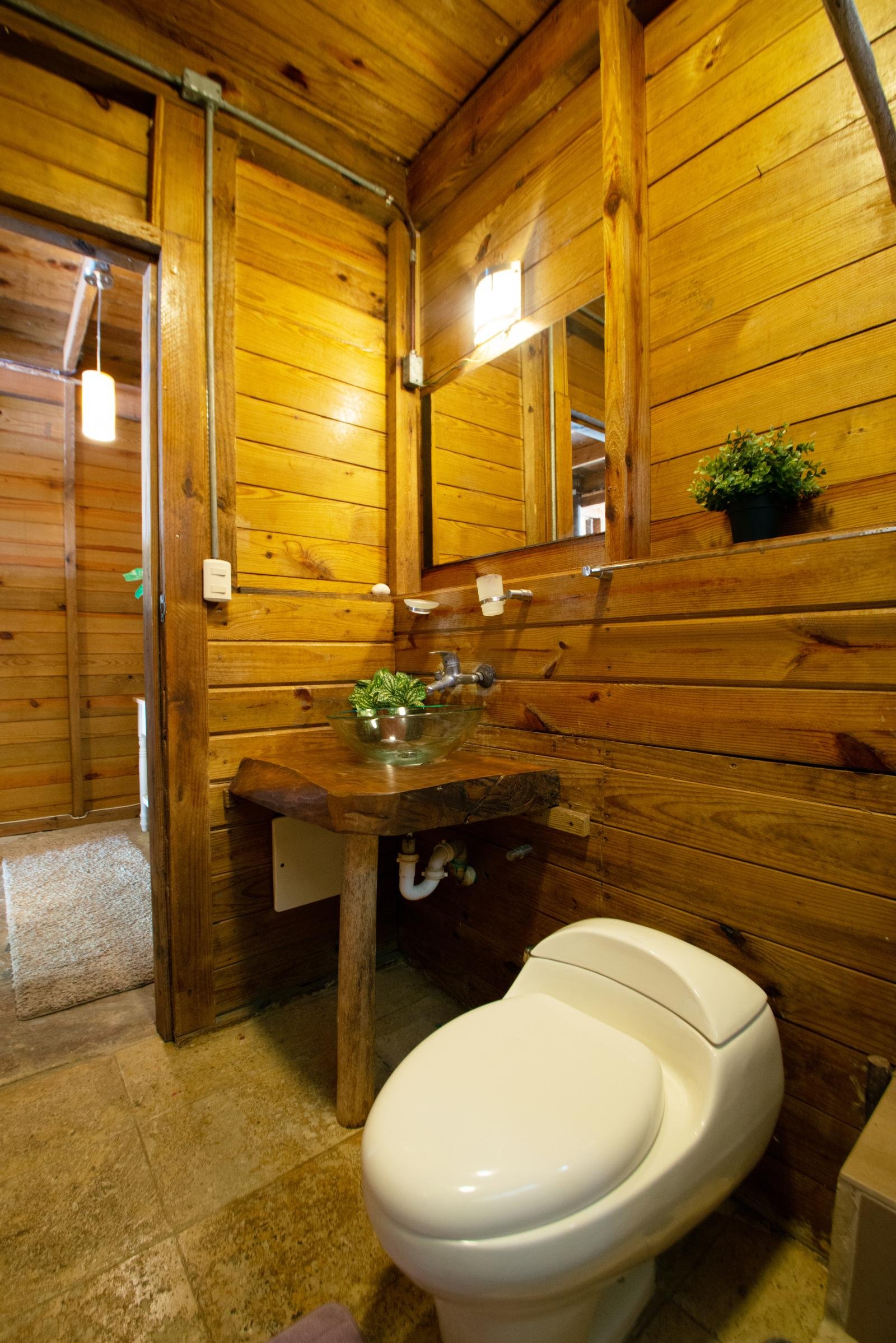 Cabana room bathroom, alternate view