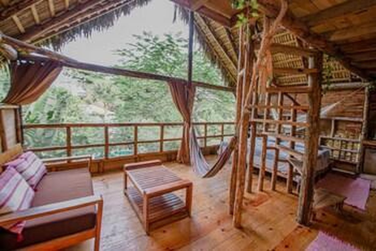 Garden Treehouse room, canopy-level views